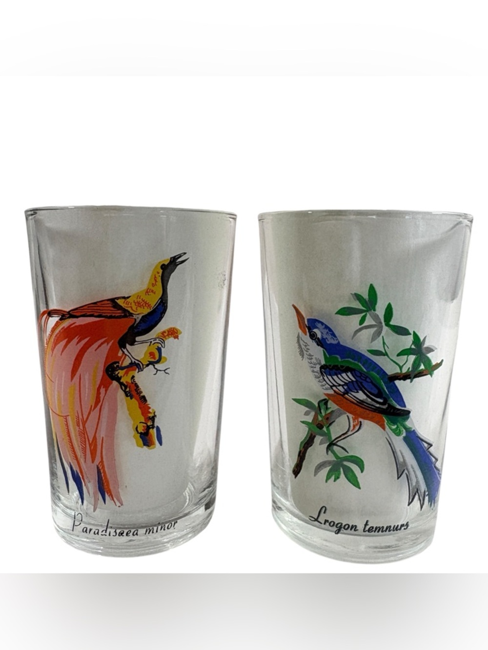 KIG Malaysia Exotic Birds VTG Juice Glasses Set of 2 Barware Cottagecore